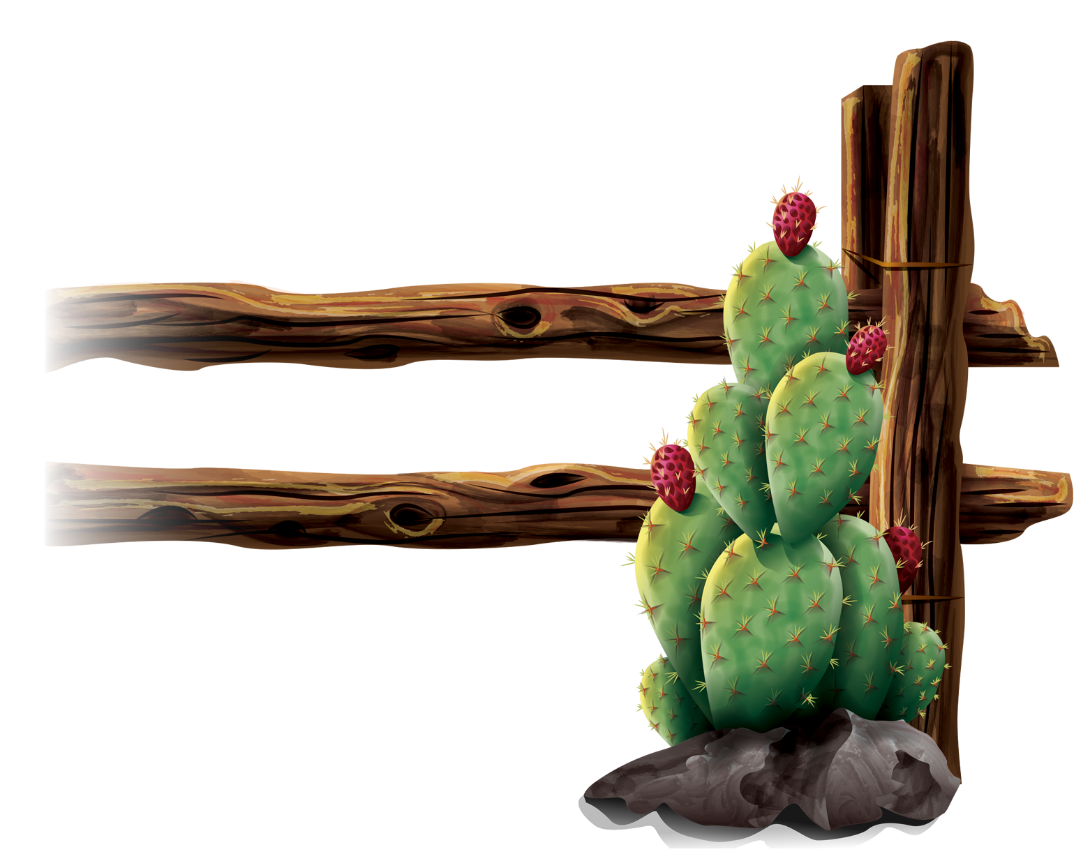left cactus